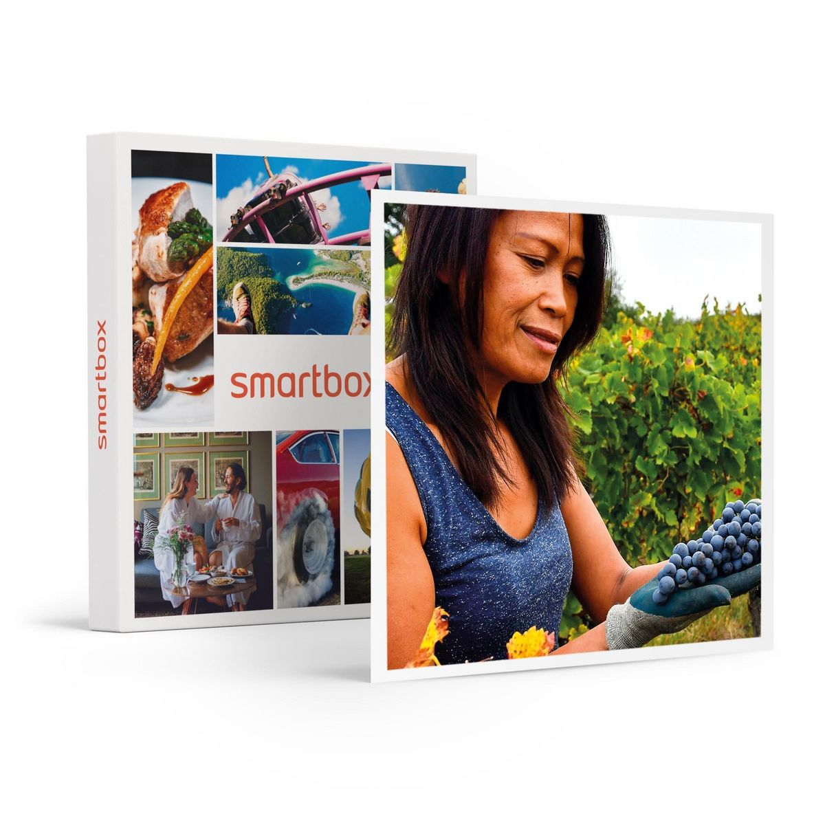 Smartbox Découverte de vignes biodynamiques avec dégustation de vins en Gironde - Coffret Cadeau Sport & Aventure