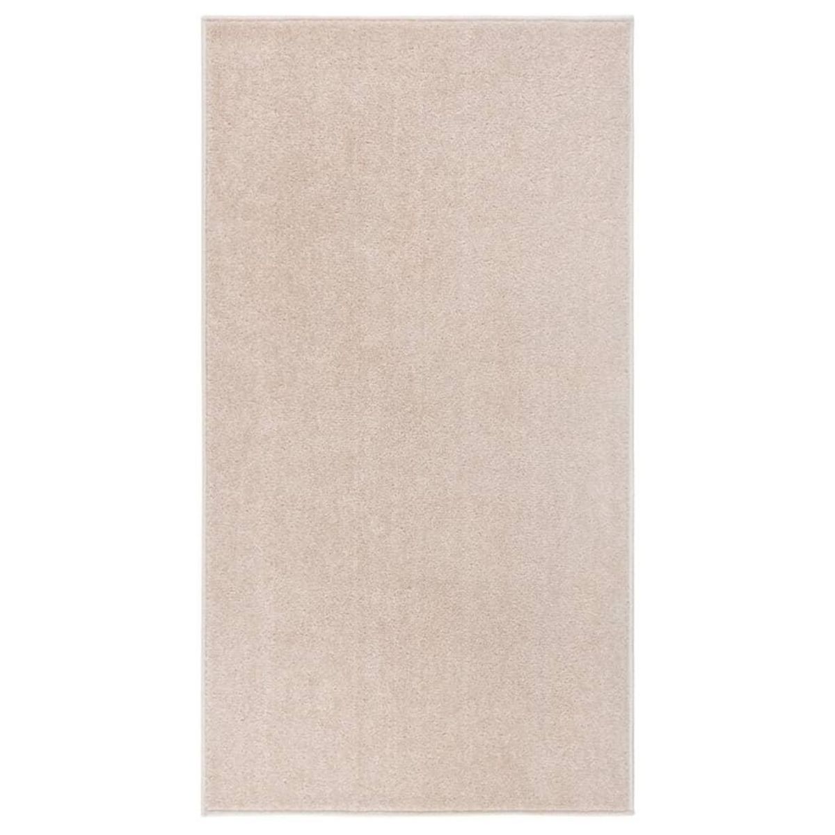VIDAXL Tapis a poils courts 80x150 cm Beige fonce