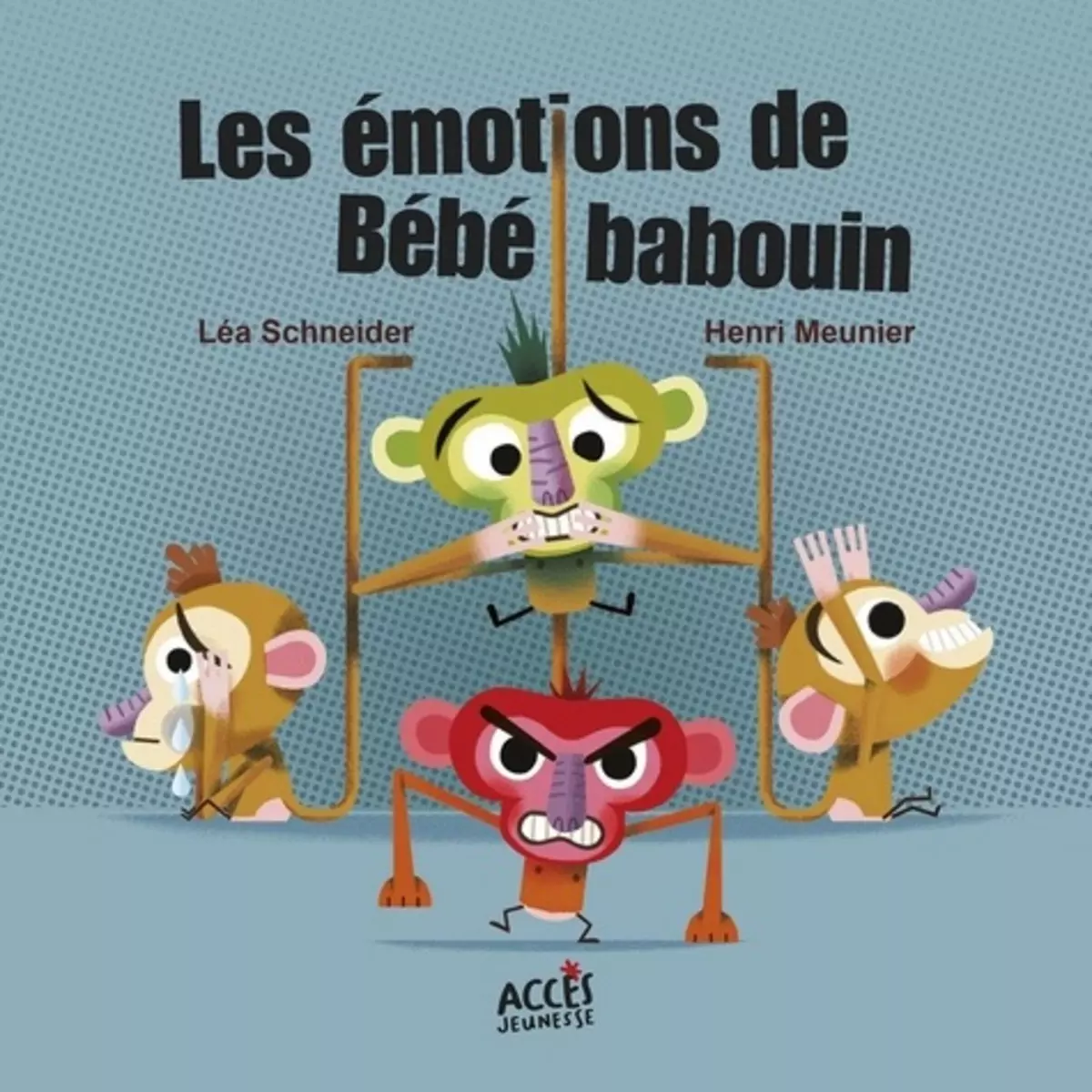  LES EMOTIONS DE BEBE BABOUIN, Schneider Léa