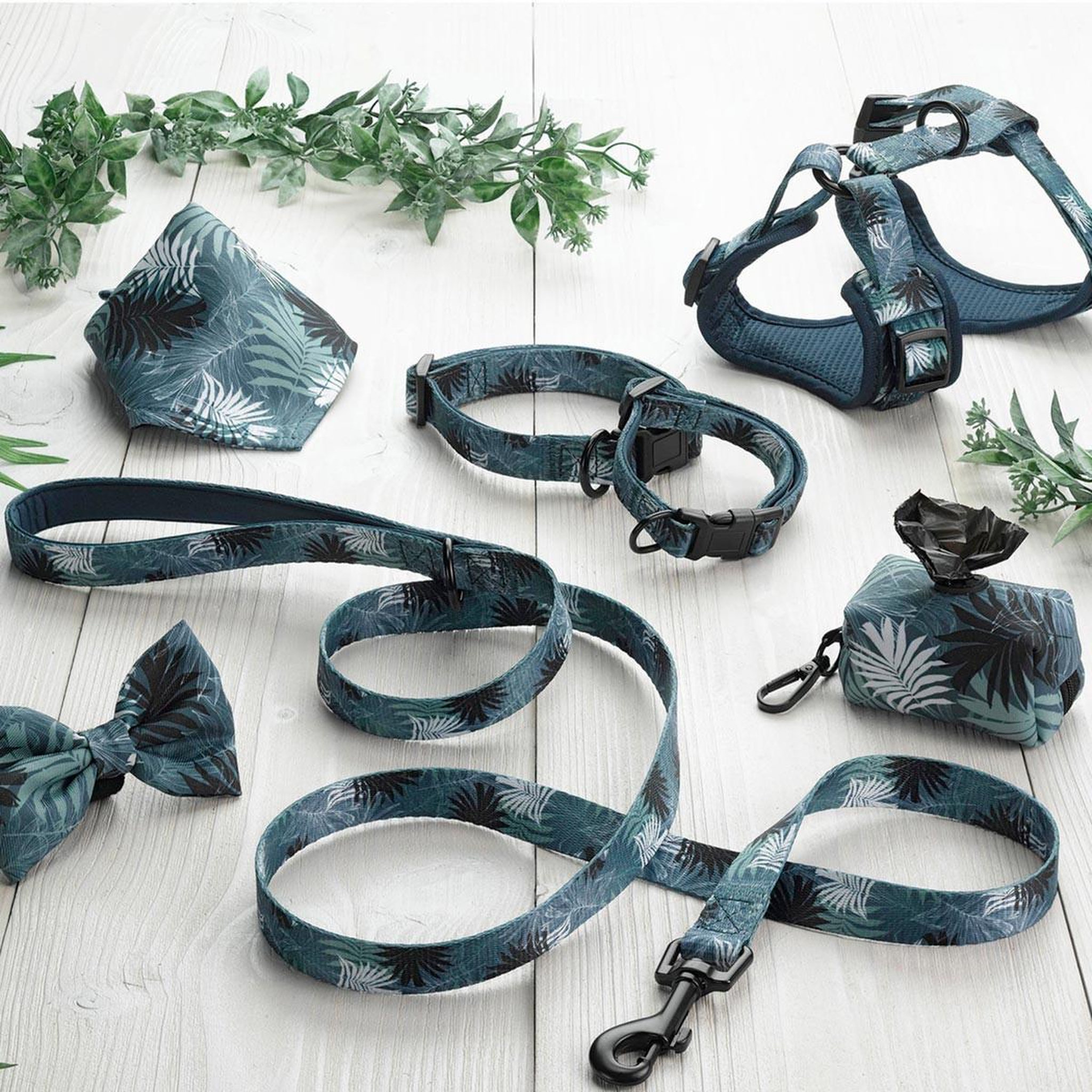 Voir la diapositive 2 : LOVE STORY Collier pour chien réglable  eden  35cm bleu
