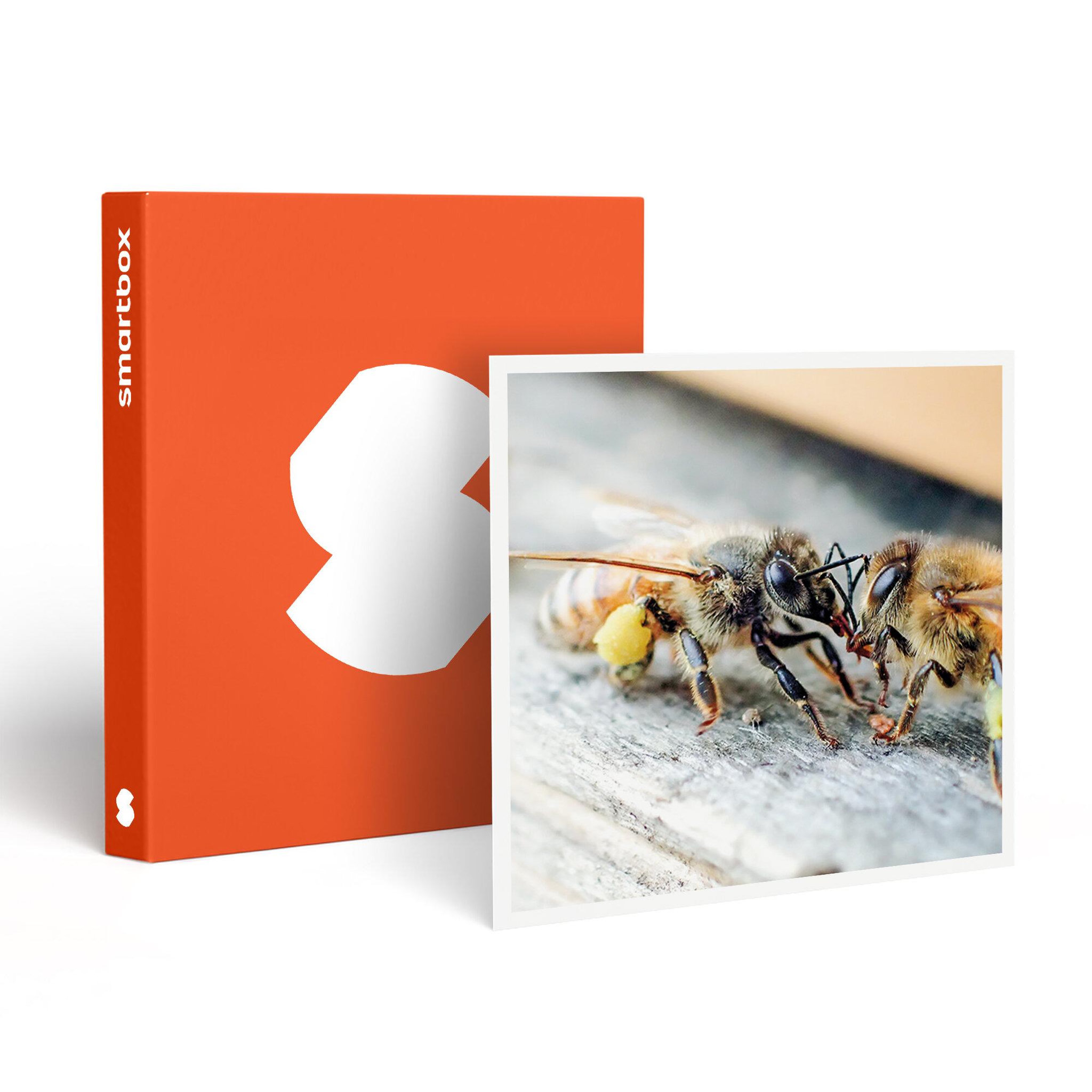 Smartbox Parrainage de ruche et extraction de miel près de nantes avec produits à ramener chez vous - coffret cadeau gastronomie