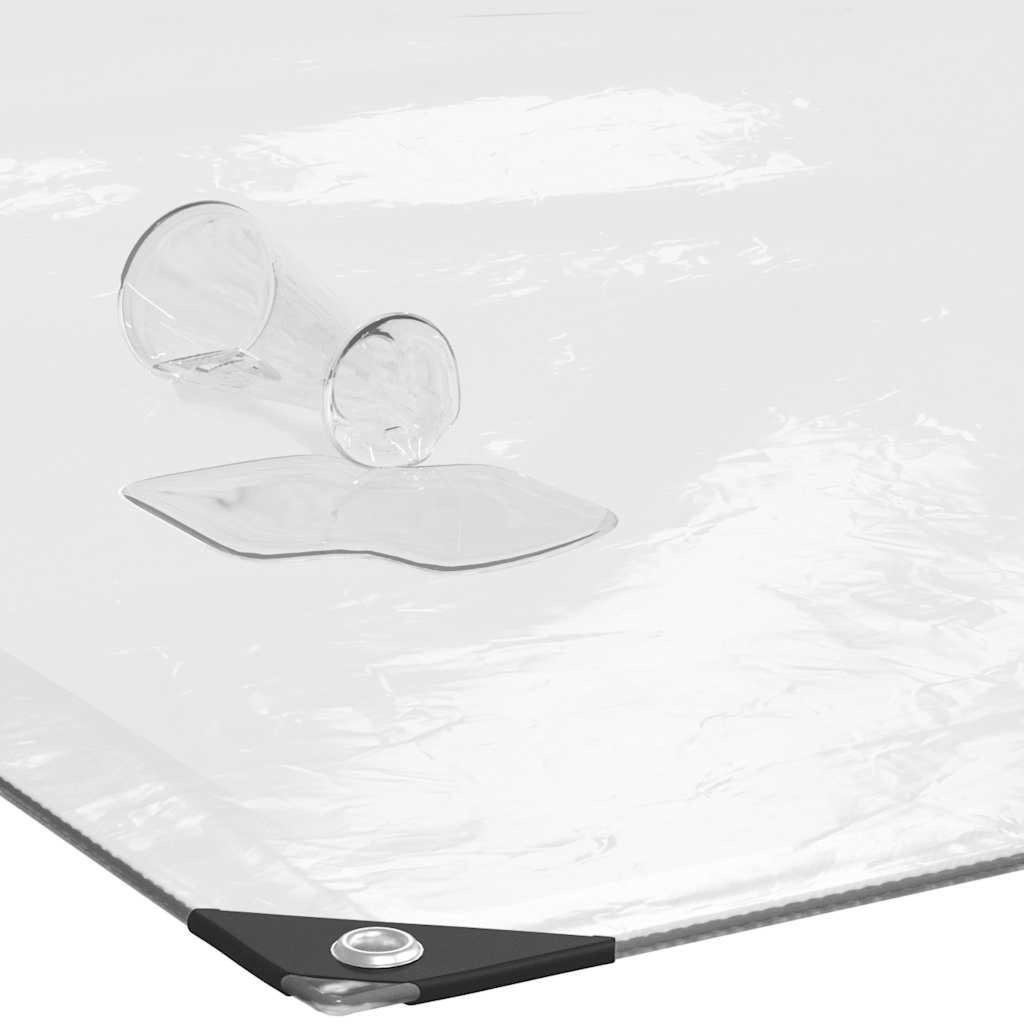 Voir la diapositive 4 : VIDAXL Housse de protection plantes avec œillets 2x3 m polyethylene