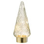 Voir la diapositive 2 : Paris Prix Sapin de Noël en Verre  Led  35cm Transparent