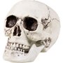 Boland Décoration d'Halloween - Crâne en Plastique