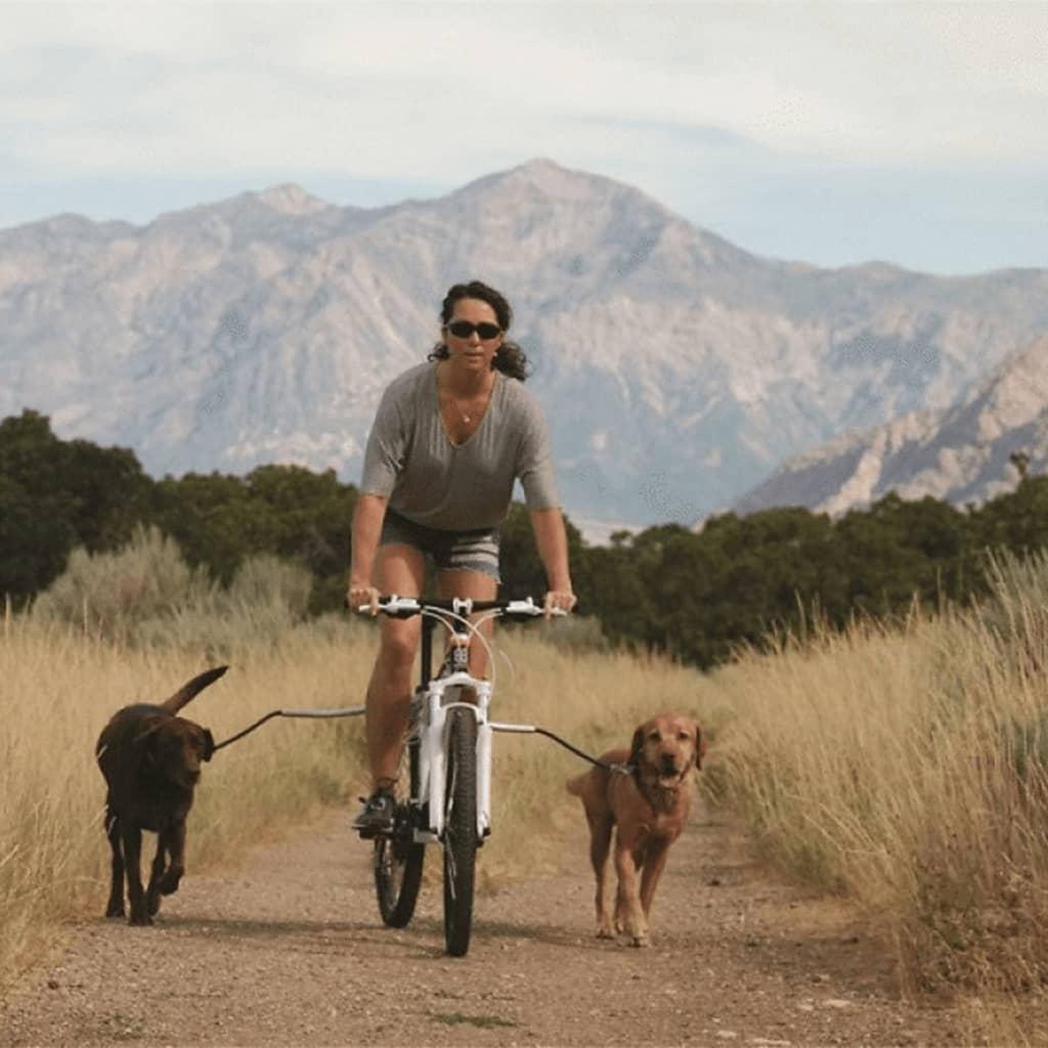 Voir la diapositive 4 : PetEgo PetEgo Laisse de velo universelle pour chiens Cycleash 85 cm