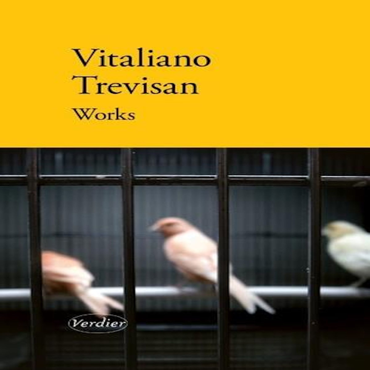 WORKS, Trevisan Vitaliano