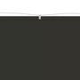 Voir la diapositive 3 : VIDAXL Auvent vertical Anthracite 180x1000 cm Tissu oxford