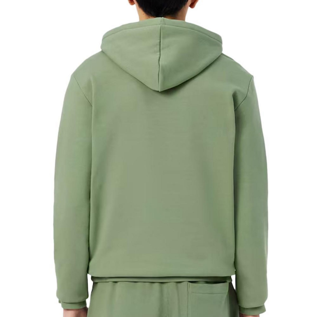 Lacoste Sweat Kaki Homme Lacoste En Mollet