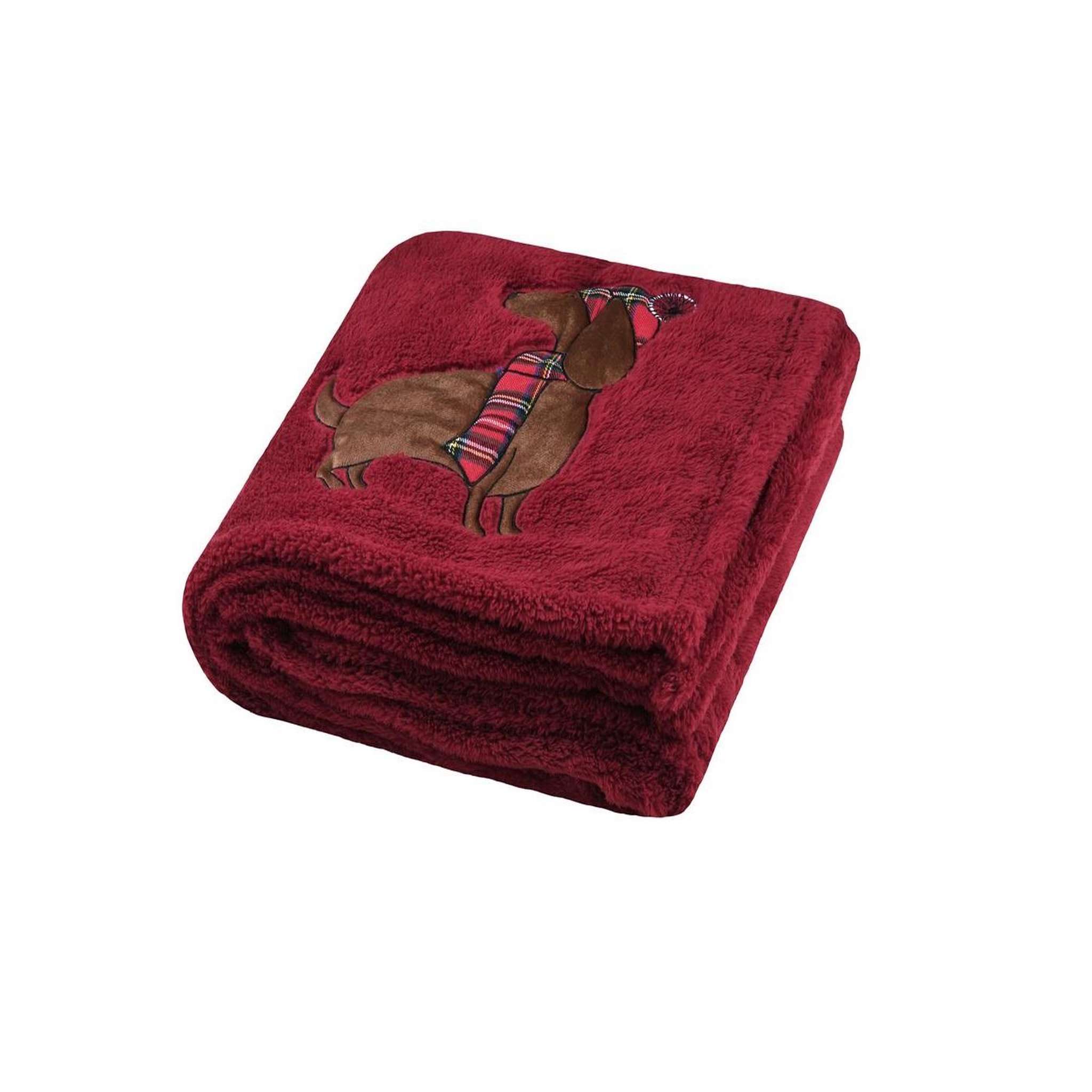 Eden Plaid douillet chien avec bonnet rouge