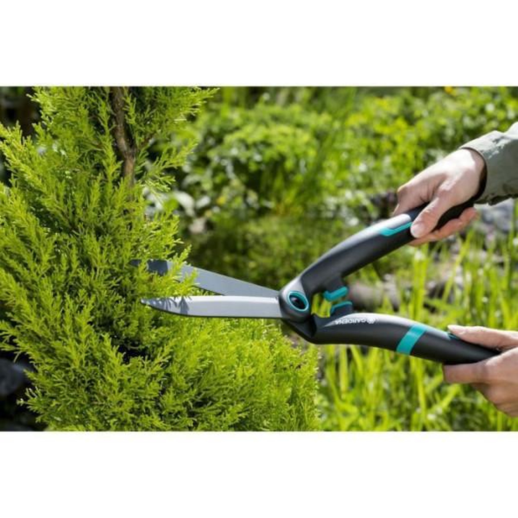 Voir la diapositive 3 : Gardena GARDENA Cisaille a haies PrecisionCut – Lames droites 180mm – Revetement anti-adhérence – Poignées ergo – Garantie 25