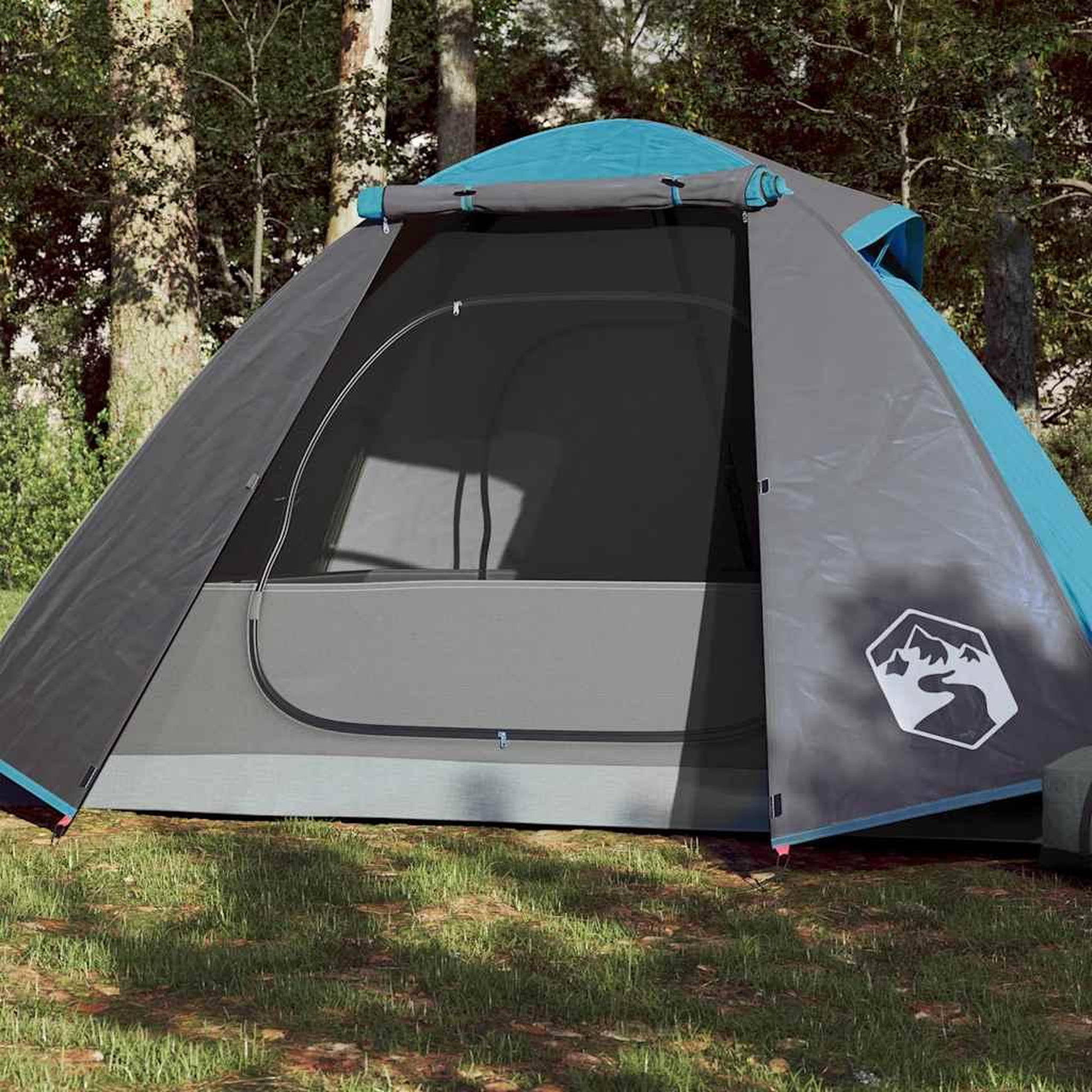 VIDAXL Tente de camping a dome 2 personne bleu impermeable