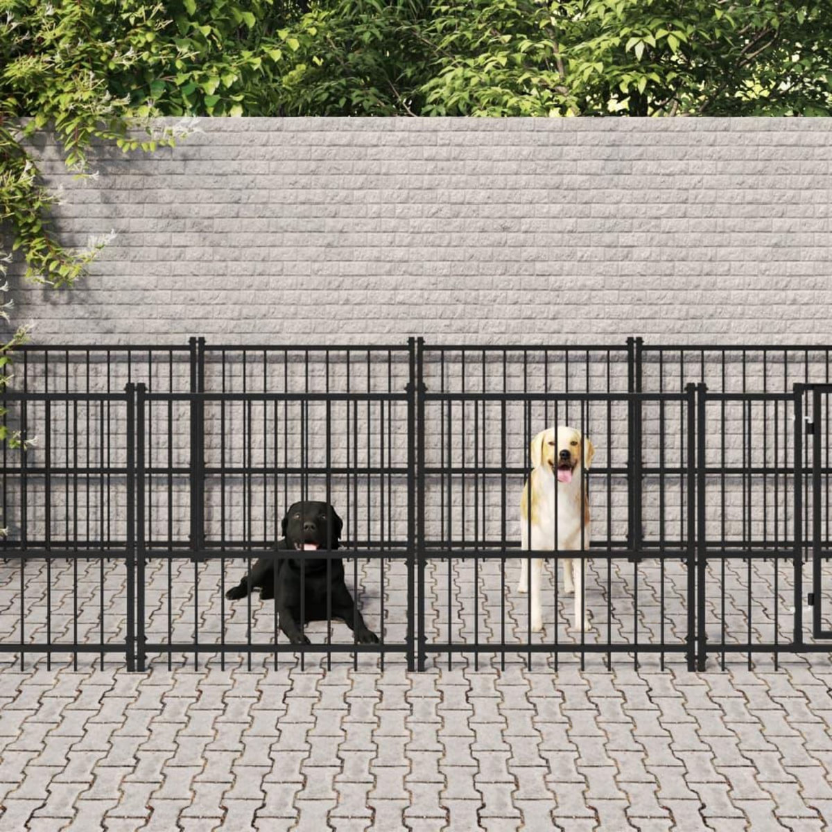 VIDAXL Chenil d'exterieur pour chiens Acier 18,77 m²