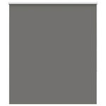 VIDAXL Store enrouleur occultant largeur du tissu 126,6 cm polyester