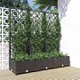 Voir la diapositive 1 : VIDAXL Jardiniere avec treillis Noir 120x40x121,5 cm PP