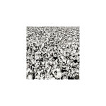 Listen Without Prejudice