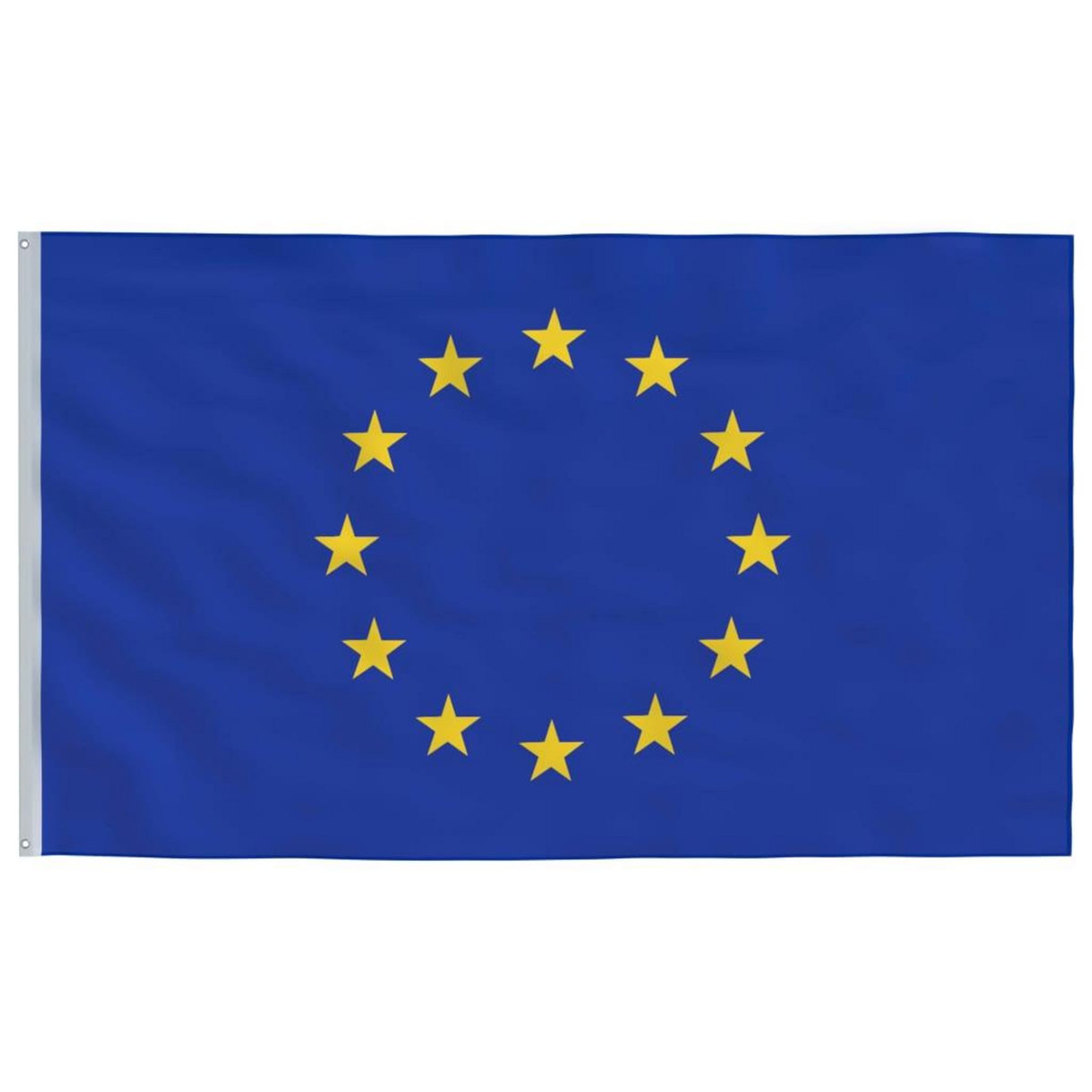 VIDAXL Drapeau de l'Europe et mat 5,55 m Aluminium