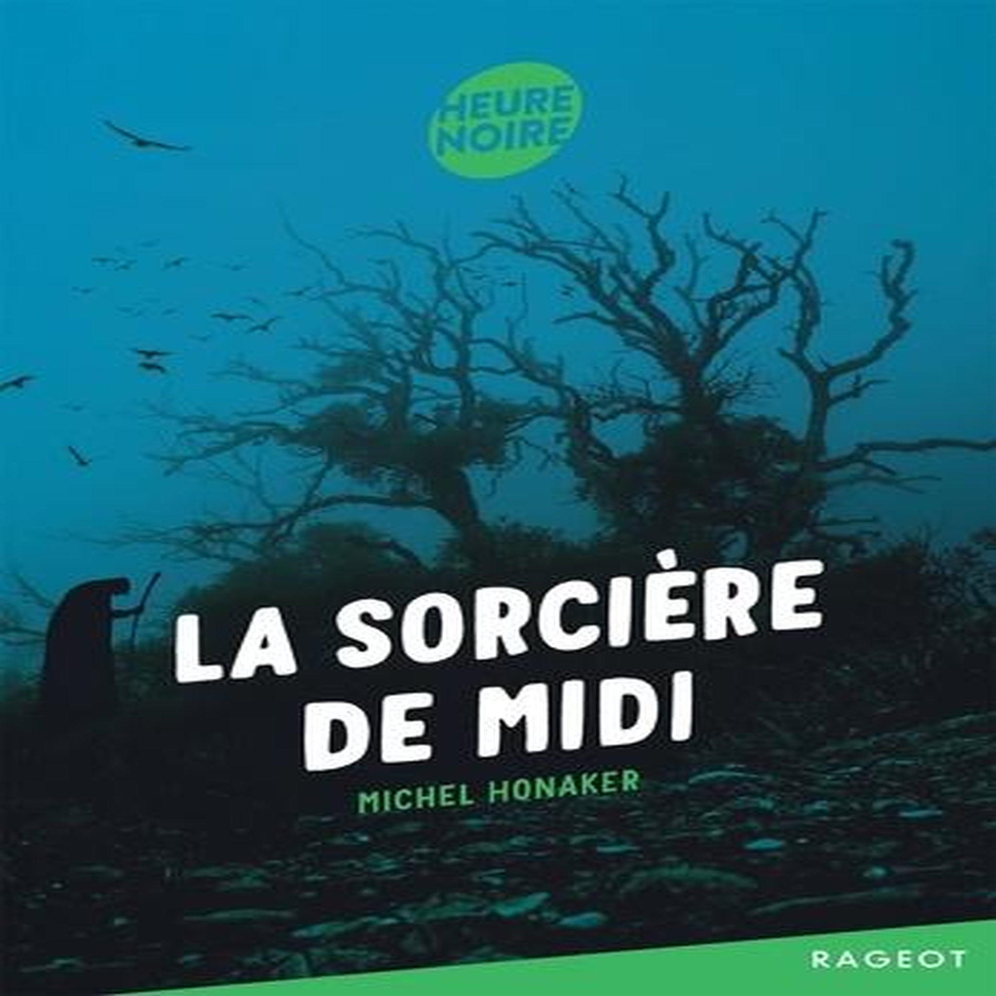 LA SORCIERE DE MIDI, Honaker Michel