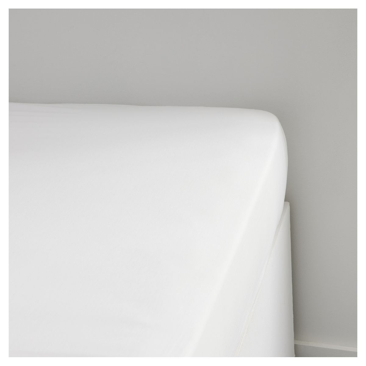 TODAY Drap Housse uni en Percale de coton 