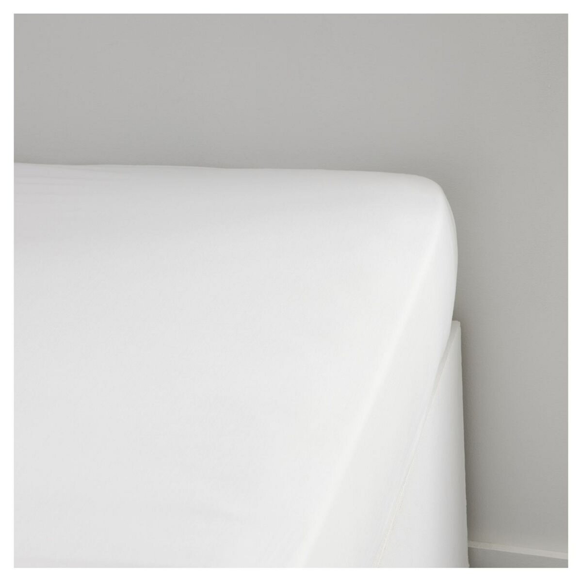 TODAY Drap Housse uni en Percale de coton 