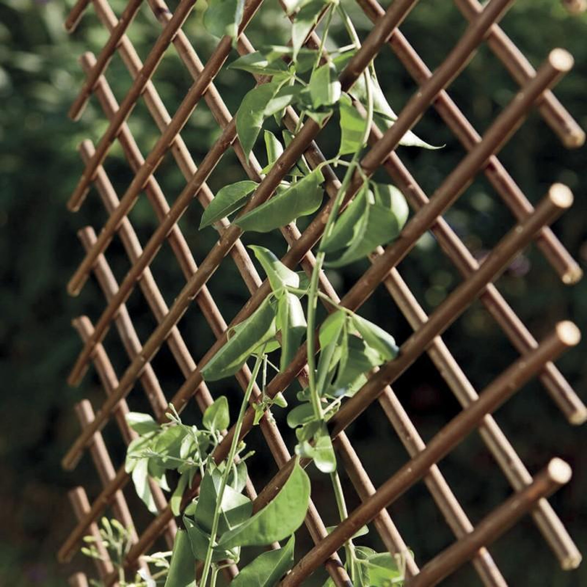 Nortene Treillis extensible en osier naturel 0,5 x 1,5 m - finition brun - décoratif