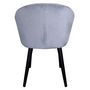 Voir la diapositive 4 : Paris Prix Fauteuil Design en Velours  Glany  81cm Argent