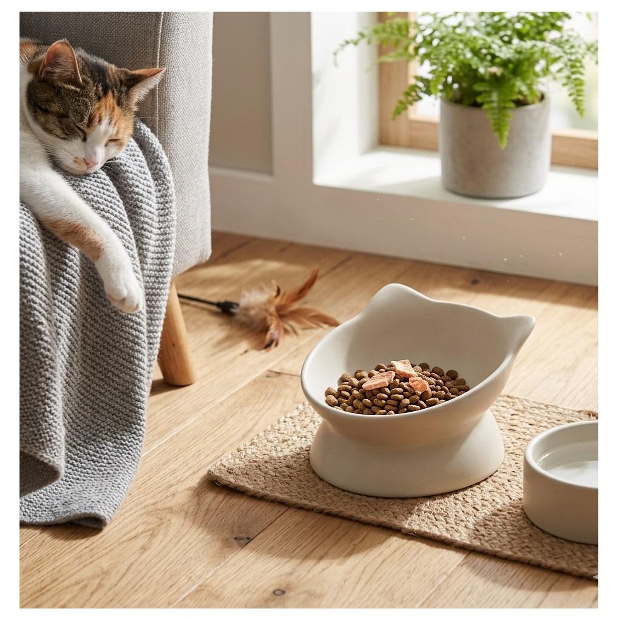 Voir la diapositive 4 : Eden Gamelle ergonomique en céramique pour chat filou