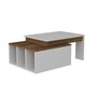 TOILINUX Table basse sur 2 niveaux avec 3 niches de rangement - Blanc et Marron