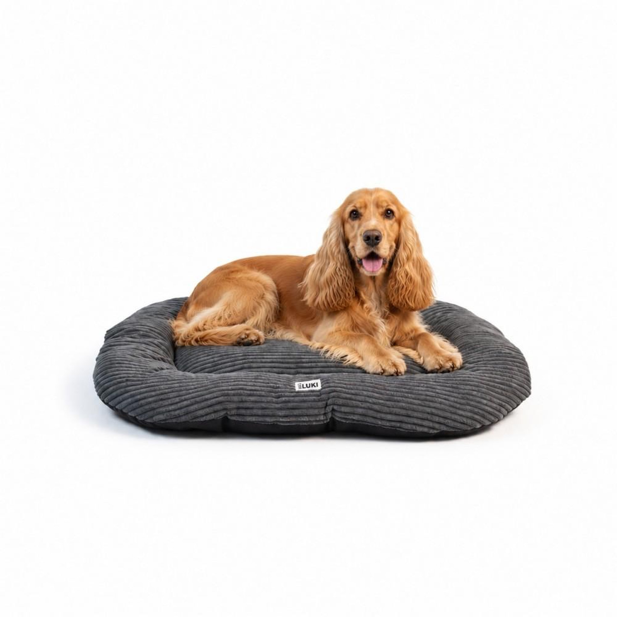 Voir la diapositive 2 : MON AMI LUKI MON AMI LUKI - Coussin ovale antidérapant velours côtelé couleur gris pour chien