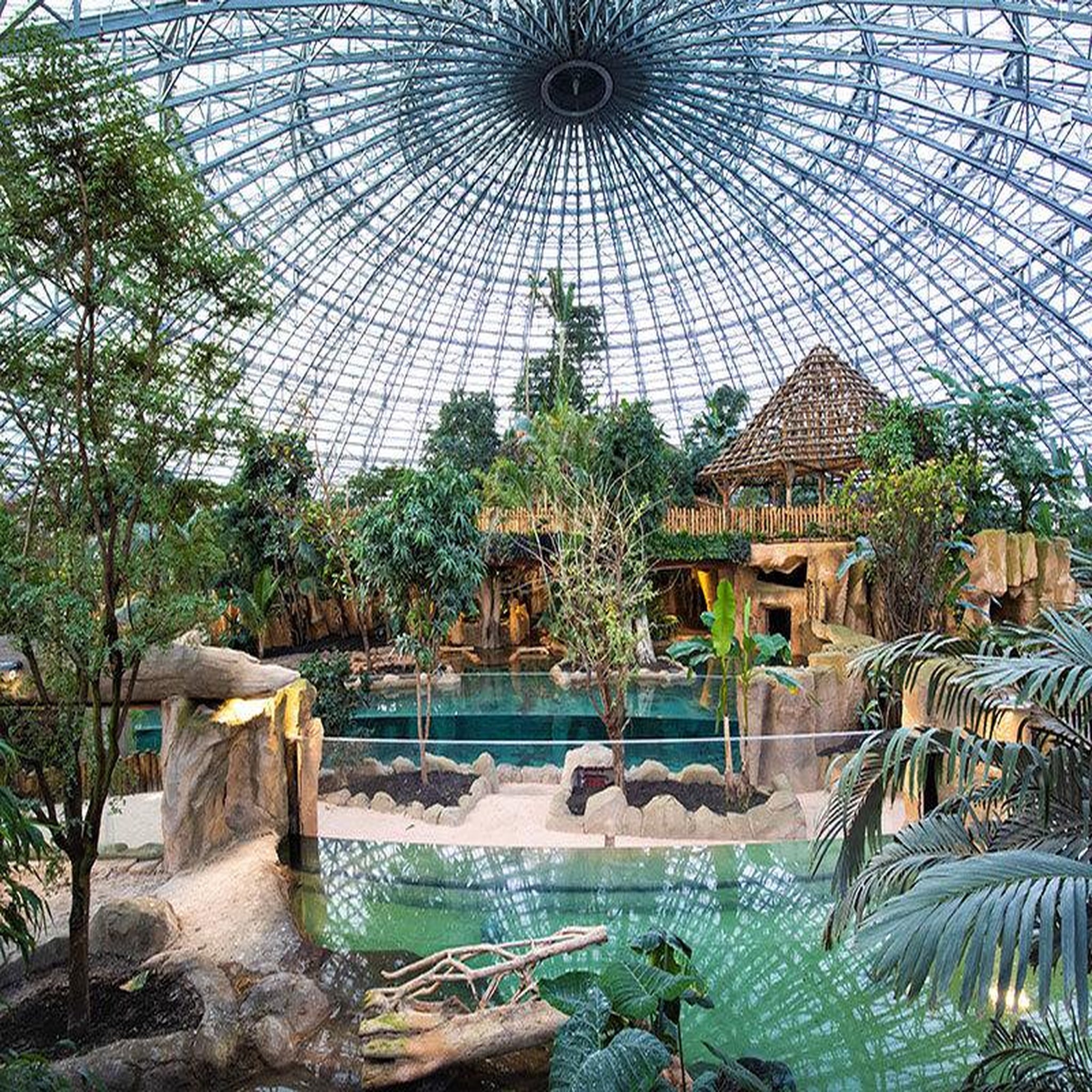 Voir la diapositive 4 : Smartbox Séjour au ZooParc de Beauval 2027: entrées 2 adulte (2 journées) et 1 nuit à proximité - Coffret Cadeau Multi-thèmes