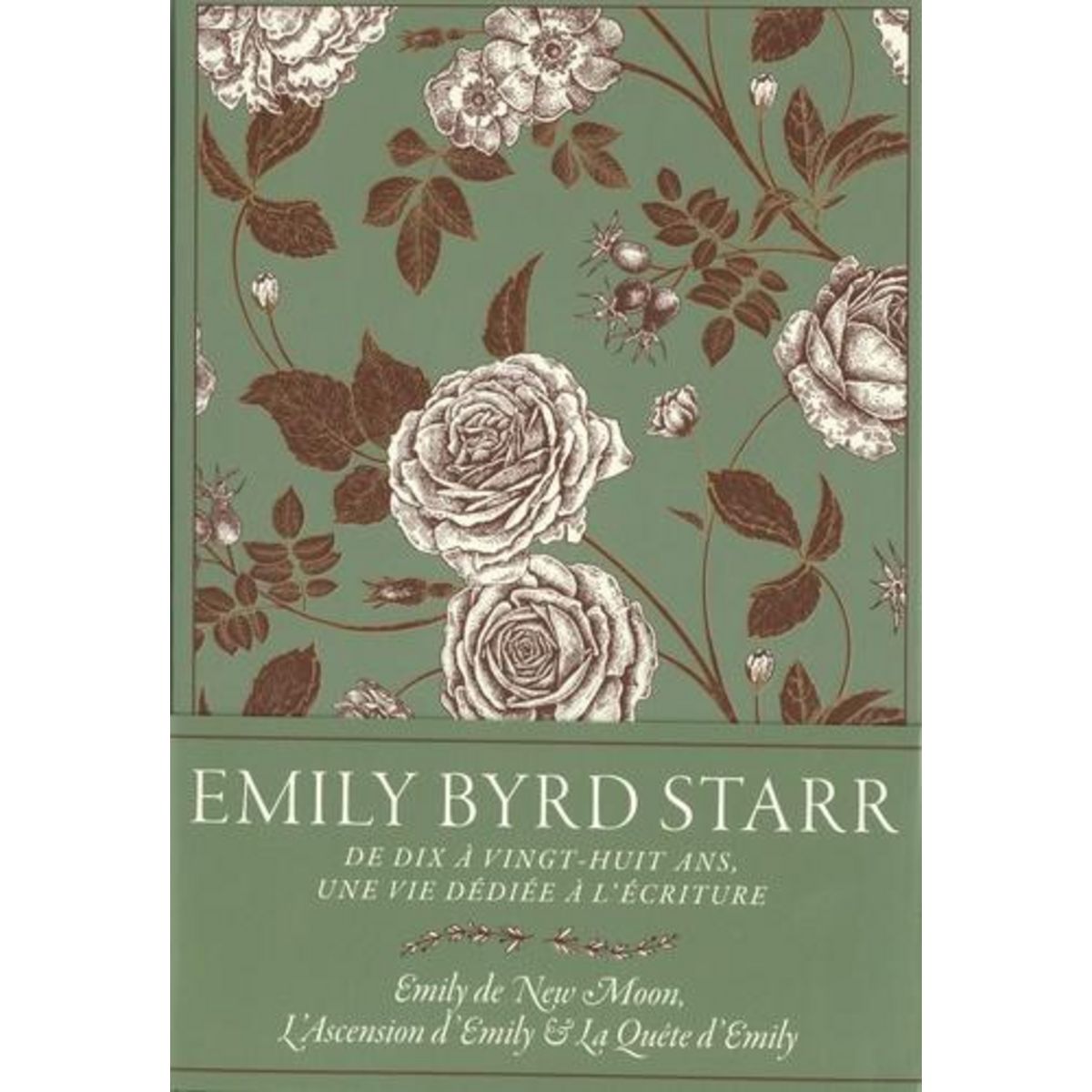 EMILY BYRD STARR COFFRET EN 3 VOLUMES : EMILY DE NEW MOON ; L'ASCENSION D'EMILY ; LA QUETE D'EMILY. AVEC 3 MARQUE-PAGES ET 3 CARTES POSTALES, EDITION COLLECTOR, Montgomery Lucy Maud