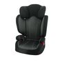 Voir la diapositive 1 : NANIA Siège auto Isofix groupe 2/3 Flash EasyFix