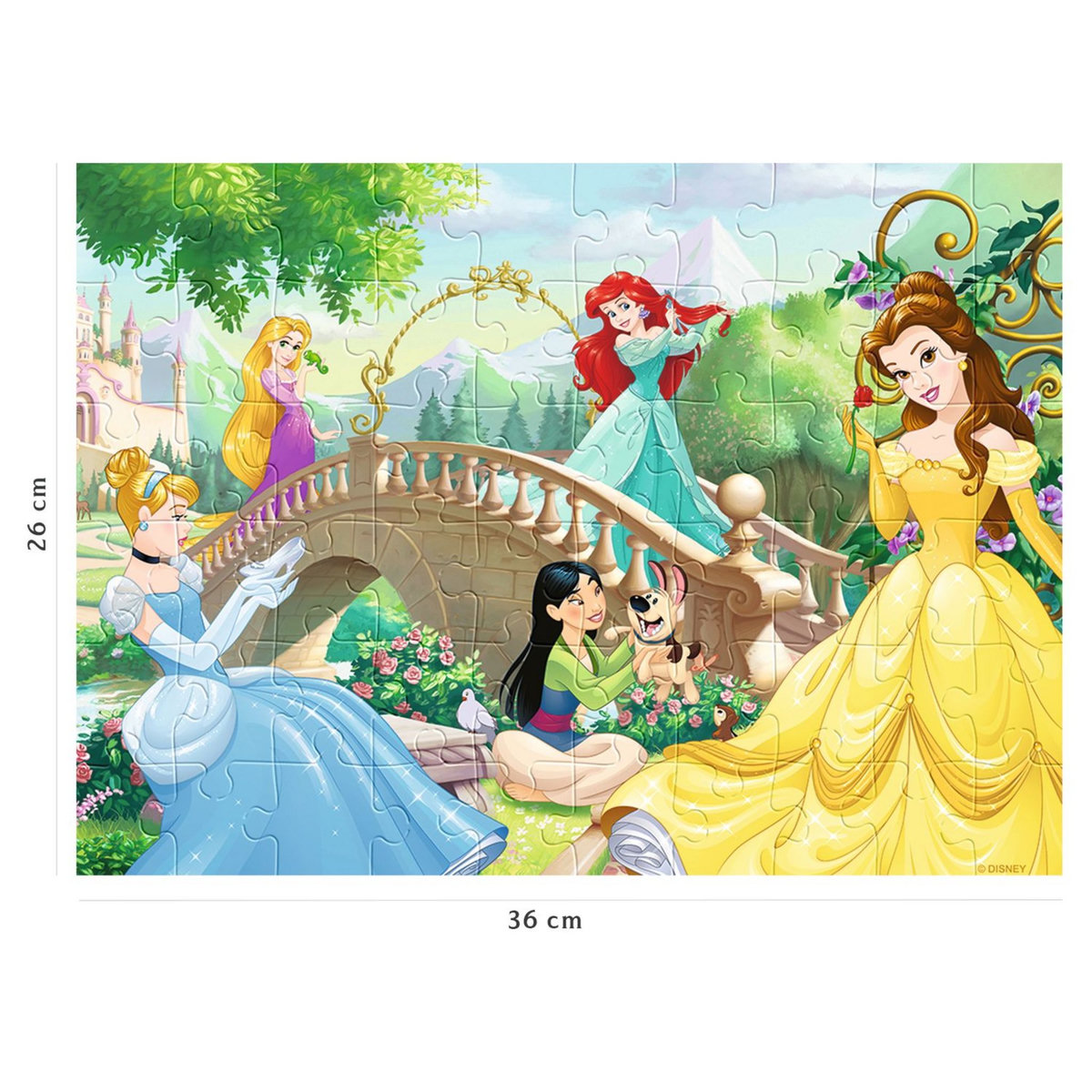RAVENSBURGER Puzzle Nathan 60 pièces - Princesses Disney