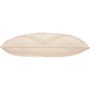 Voir la diapositive 2 : Paris Prix Coussin Déco Effet 3D  Safari  38x58cm Beige