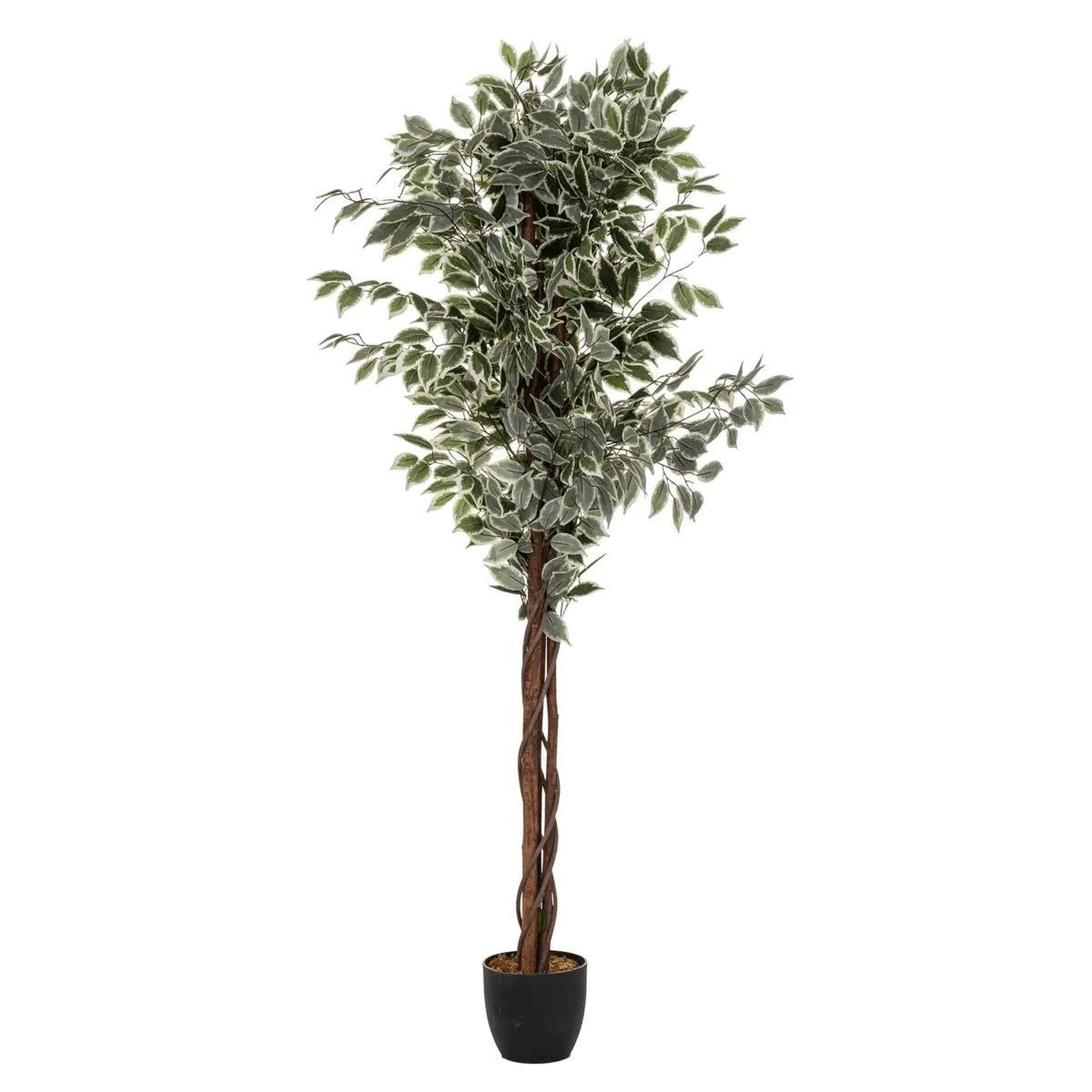 ATMOSPHERA Plante artificielle  ficus  180cm vert