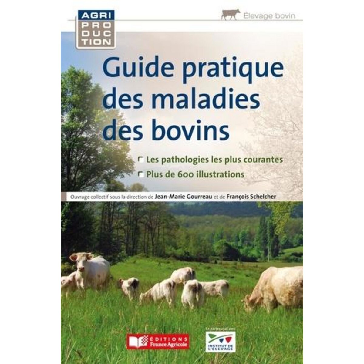 GUIDE PRATIQUE DES MALADIES DES BOVINS, Gourreau Jean-Marie