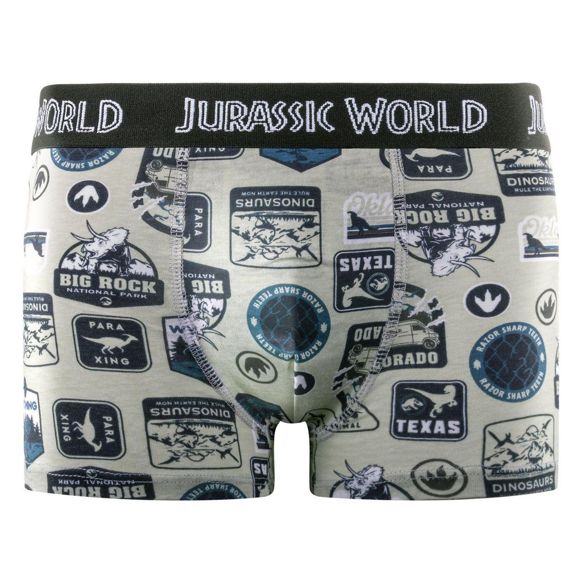 JURASSIC Lot de 4 boxers enfant Jurassic