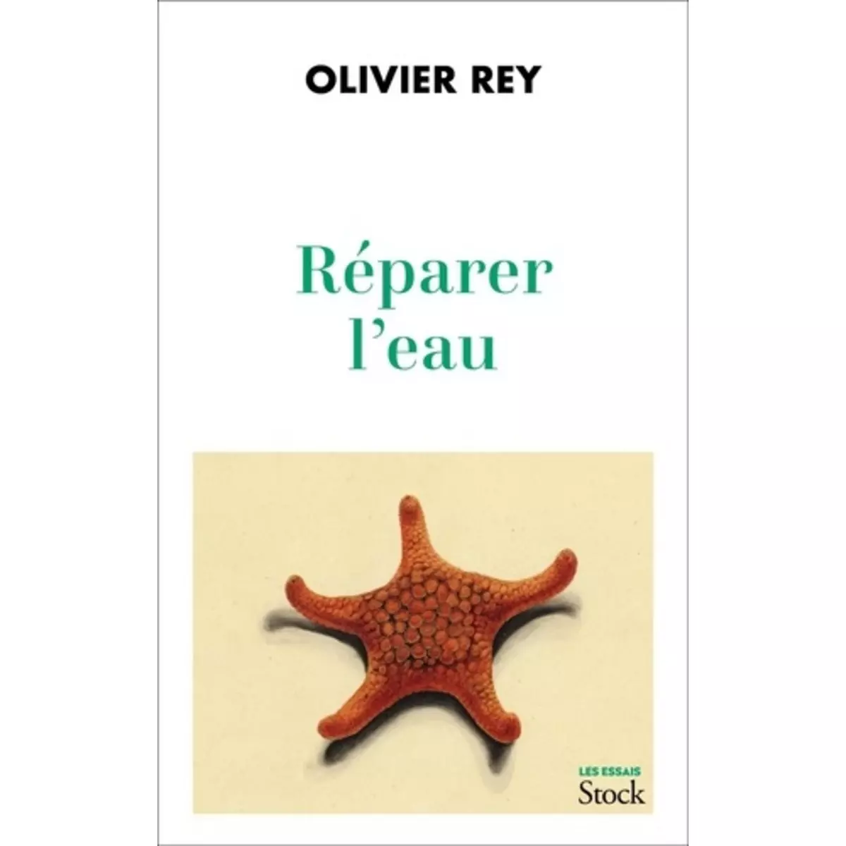  REPARER L'EAU, Rey Olivier
