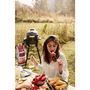 Voir la diapositive 5 : GRILL GURU Kamado GGO223 Original Compact Basic gris à poser 33 cm
