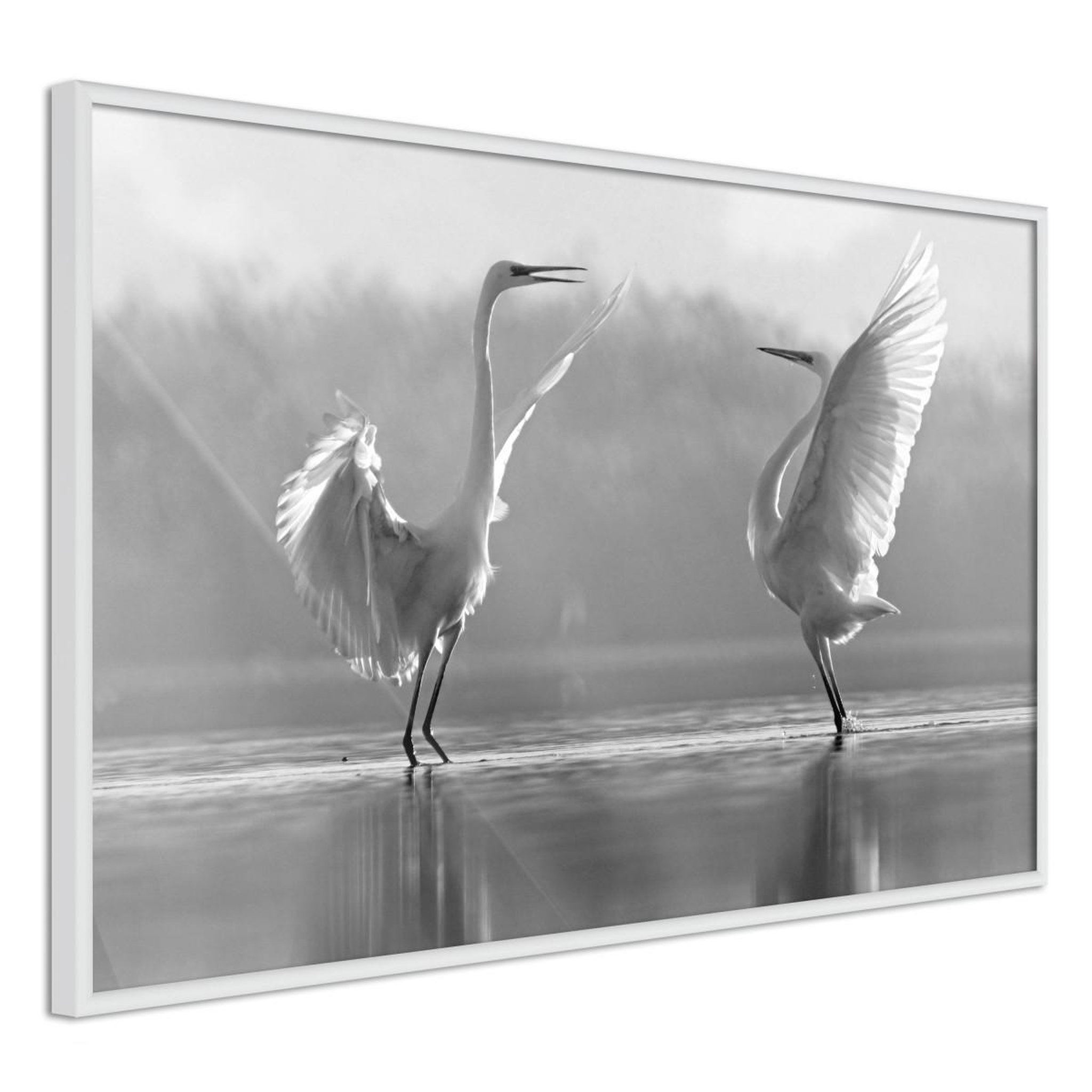 Paris Prix Affiche Murale Encadrée  Black and White Herons