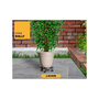 Voir la diapositive 4 : KZ GARDEN Support à roulettes rond diamètre 40 x 12,5 cm 4 roues Capacité max 275 kg Plantes Meubles ou matériel lourd KZ GARDEN