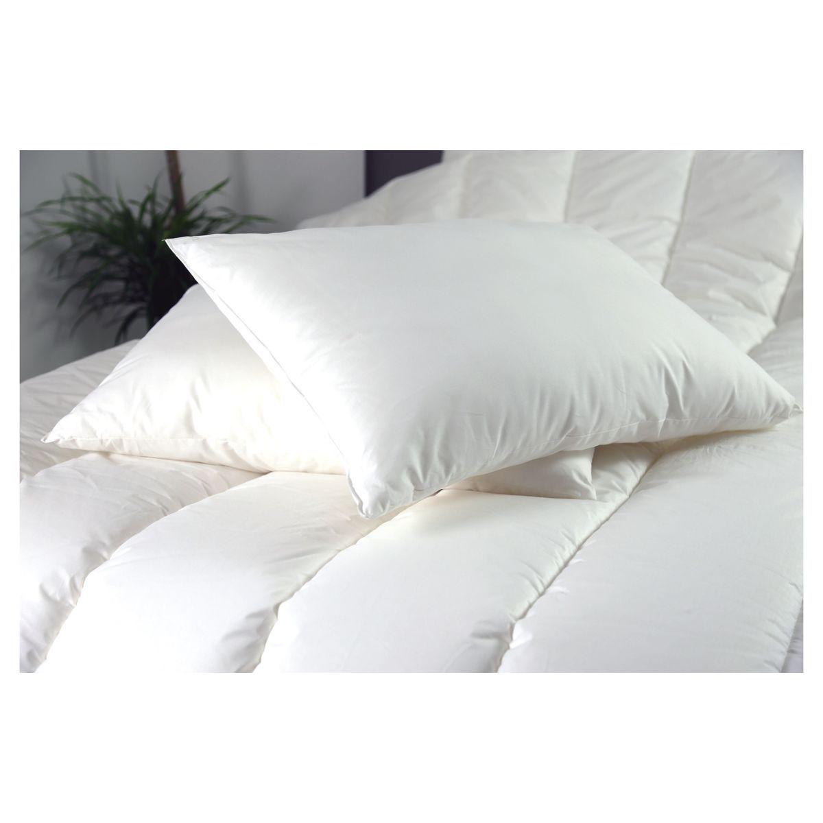 DODO Lot 2 oreillers DODO extra moelleux en microfibre anti-acariens