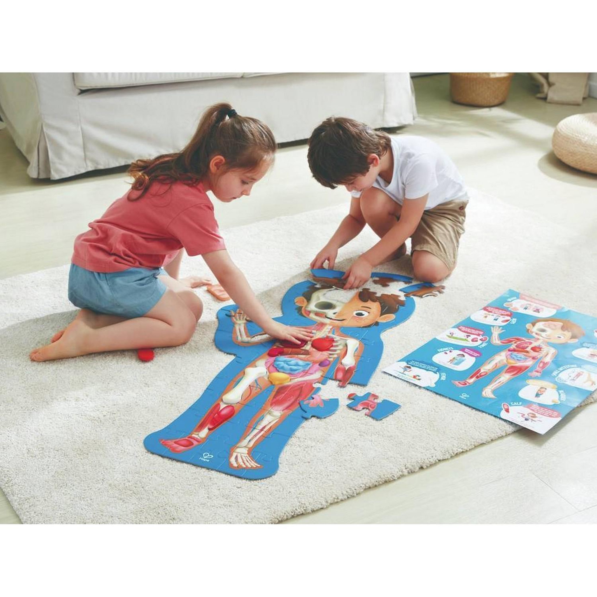 Voir la diapositive 2 : Hape Puzzle Corps humain -