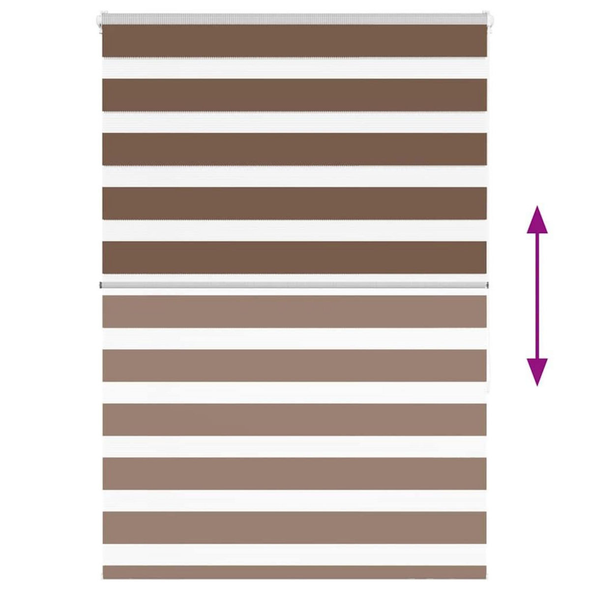 VIDAXL Store zebre marron 100x150 cm largeur du tissu 95,9cm polyester