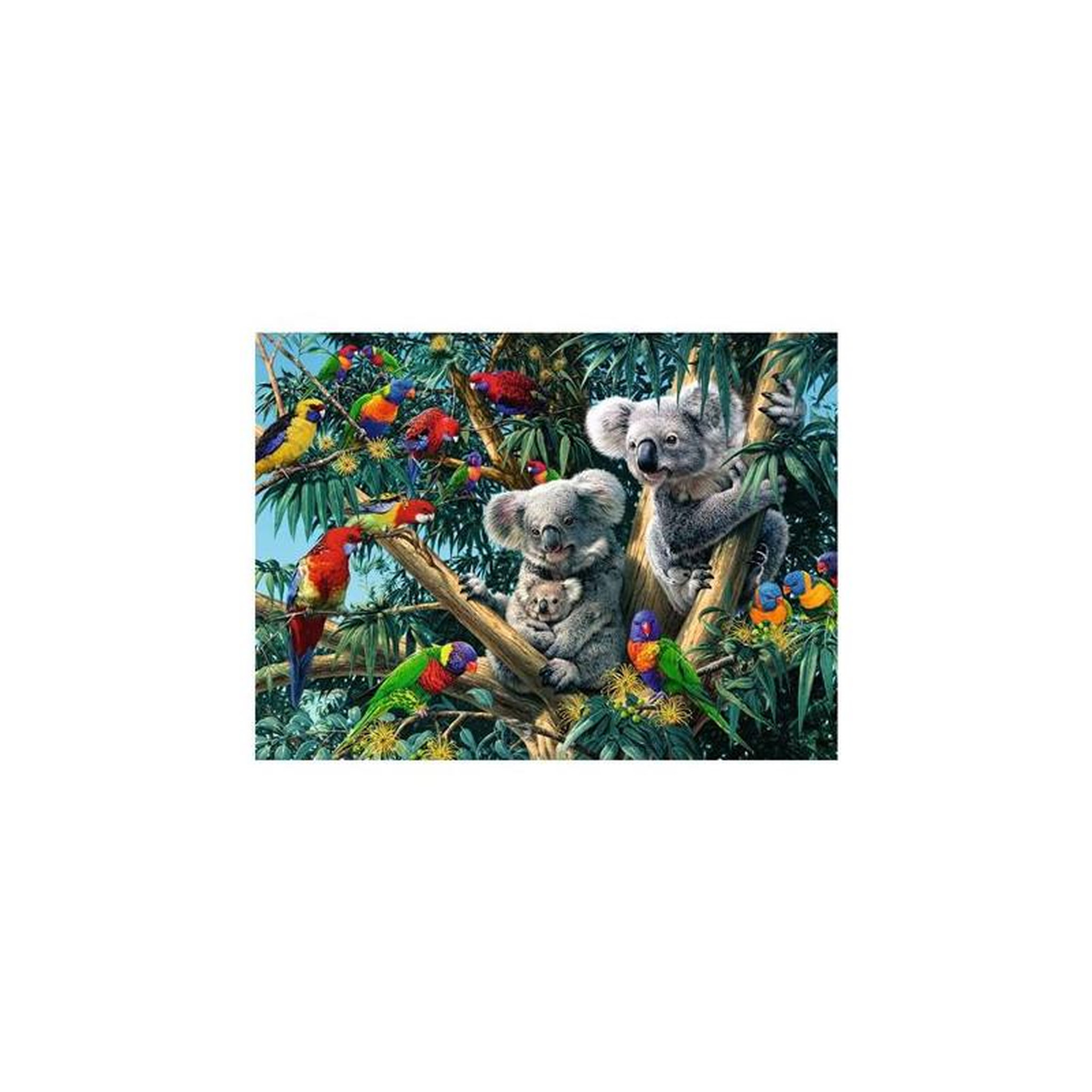 RAVENSBURGER Puzzle 500 pièces – Koalas dans l’arbre – Scène animalière de nature – Adulte – Ravensburger