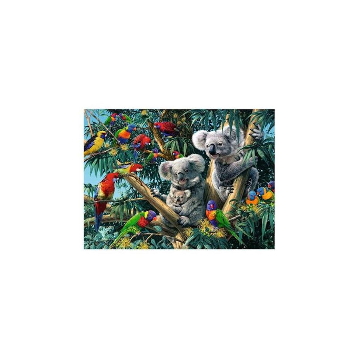 RAVENSBURGER Puzzle 500 pièces – Koalas dans l’arbre – Scène animalière de nature – Adulte – Ravensburger