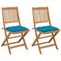Voir la diapositive 1 : VIDAXL Chaises pliables de jardin lot de 2 avec coussins Bois d'acacia