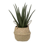 ATMOSPHERA Plante Artificielle & Pot  Aloe Vera  37cm Vert