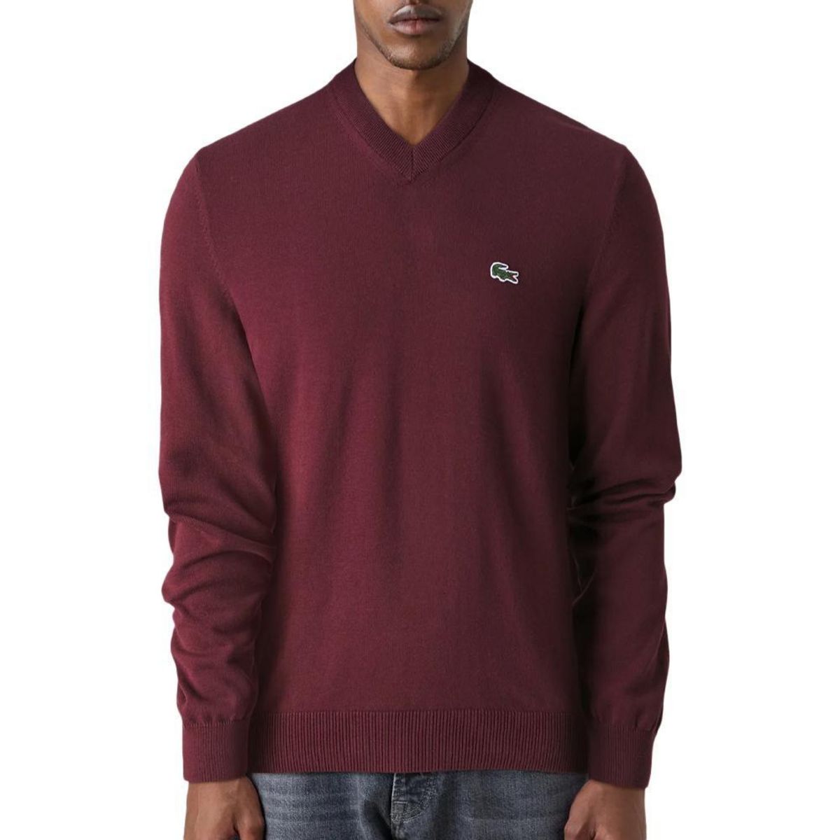 Lacoste Pull  Homme Lacoste Sequoia