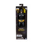 Voir la diapositive 5 : ASTER Figurine Aster Batman articulée 30 cm