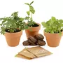  Kit de jardinage : 3 pots de plantes magiques